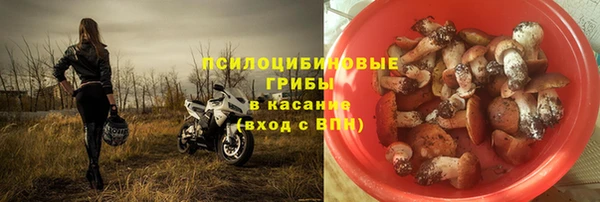 марки nbome Аркадак